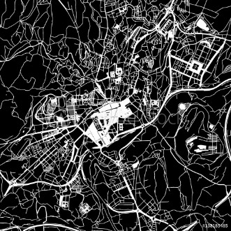 Picture of Santiago de Compostela Vector Map